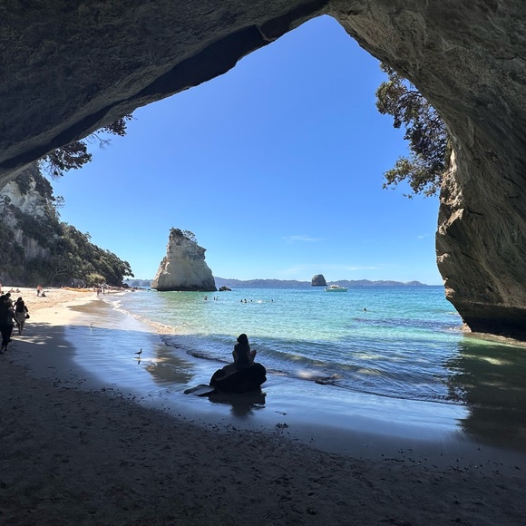 Meet your Posher, Lisa.  Hi everyone!! I hope u like my closet!! - Picture 12 of 16